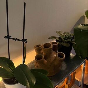 Rare Rustic Multi-Spout Terracotta Vase - Brown